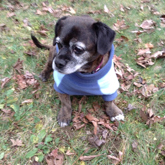 Meet TubbySunrise - Picture 6 of 7